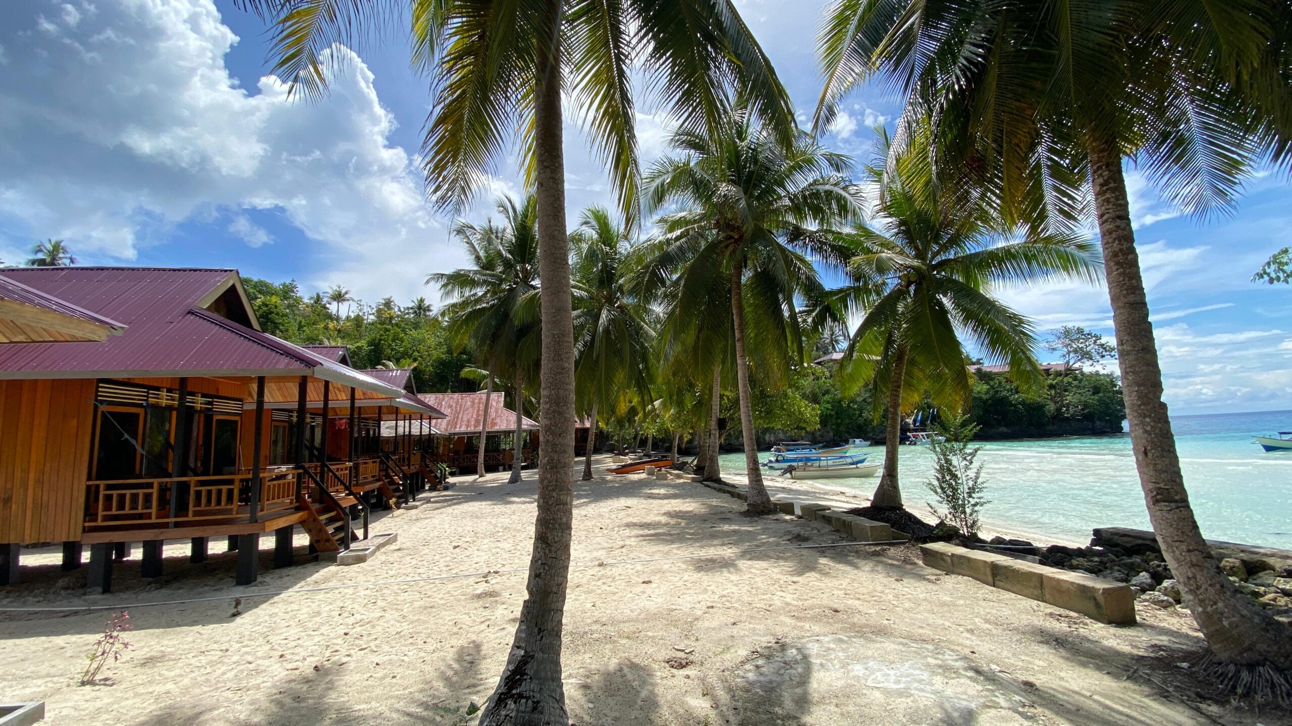 WhatsApp Image 2025-09-07 at 1.32.25 PM (3)